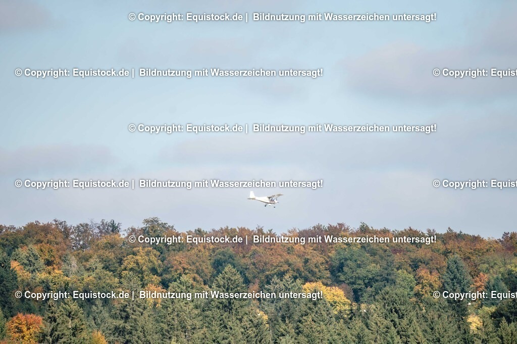 20251011_Jagd-Marbach_0321 | Foto: Thomas Hartig