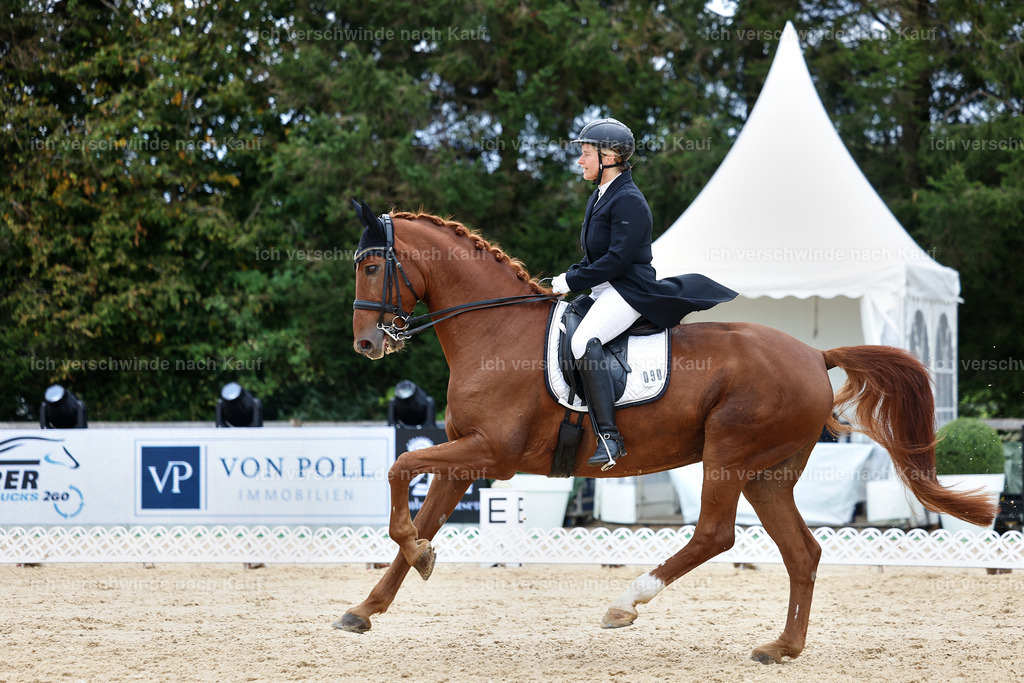 6-090-AMATUER-DRESSUR S_  -StoibPH-3608 | working equitationturnier fotograf videograf stoibphotography marixx film working equitation deutschland reitsport turnierfotografie eventfotografie equestrian events