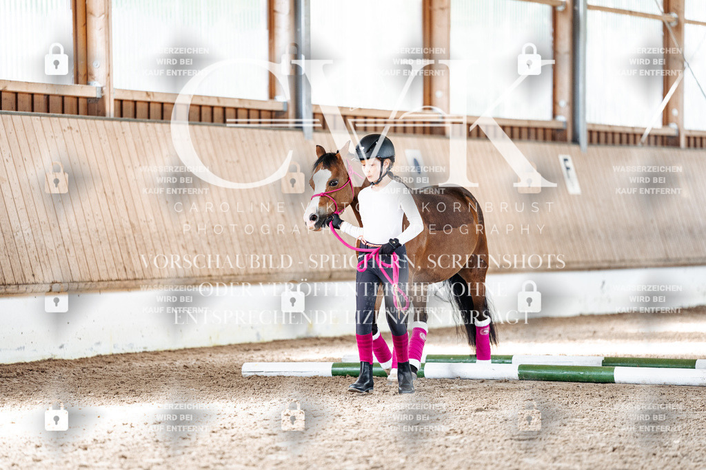 CK905522 | Turnierfotografie Pferdefotografie Trier Rheinland-Pfalz Pferdesport Reitsport Tierfotografie Sportfotografie Pferdevideo Pferdevideografie Equestrianvideography equestrianphotography  - Realisiert mit Pictrs.com