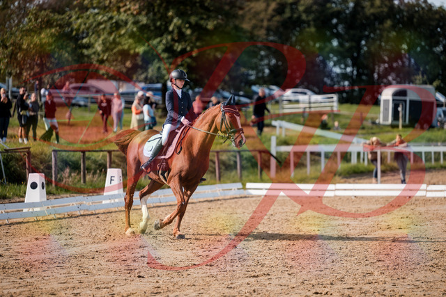 2026_10_03_Siefer-Hof_123529_Z63_53617561 | Professionelle Reitsport-, Turnier- und Eventfotografie von Robert Broda. Galerien mit ausgewählten und bearbeiteten Bildern direkt online ansehen und bestellen.