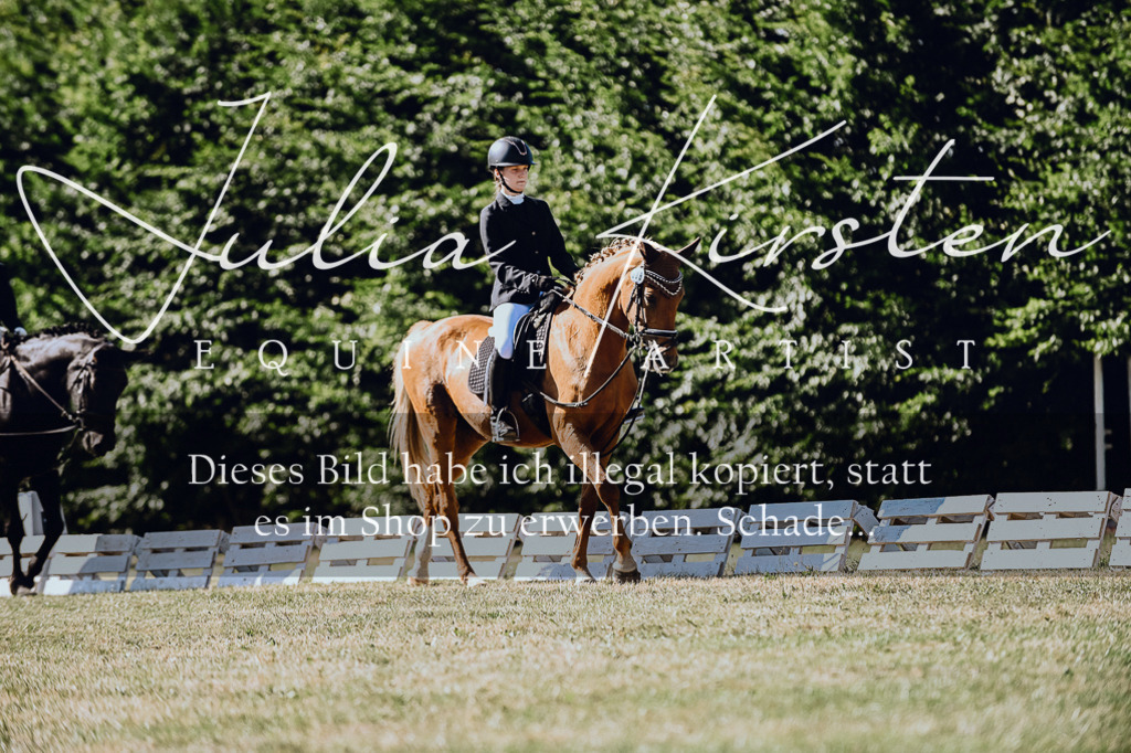 DSC_7303 | Pferde- und Turnierfotografie in Westsachsen. Pferdeportraits, Auftragszeichnungen und intuitive Kunst.