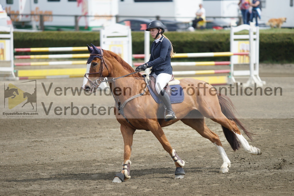 DSC04337 | equestrian-live-com