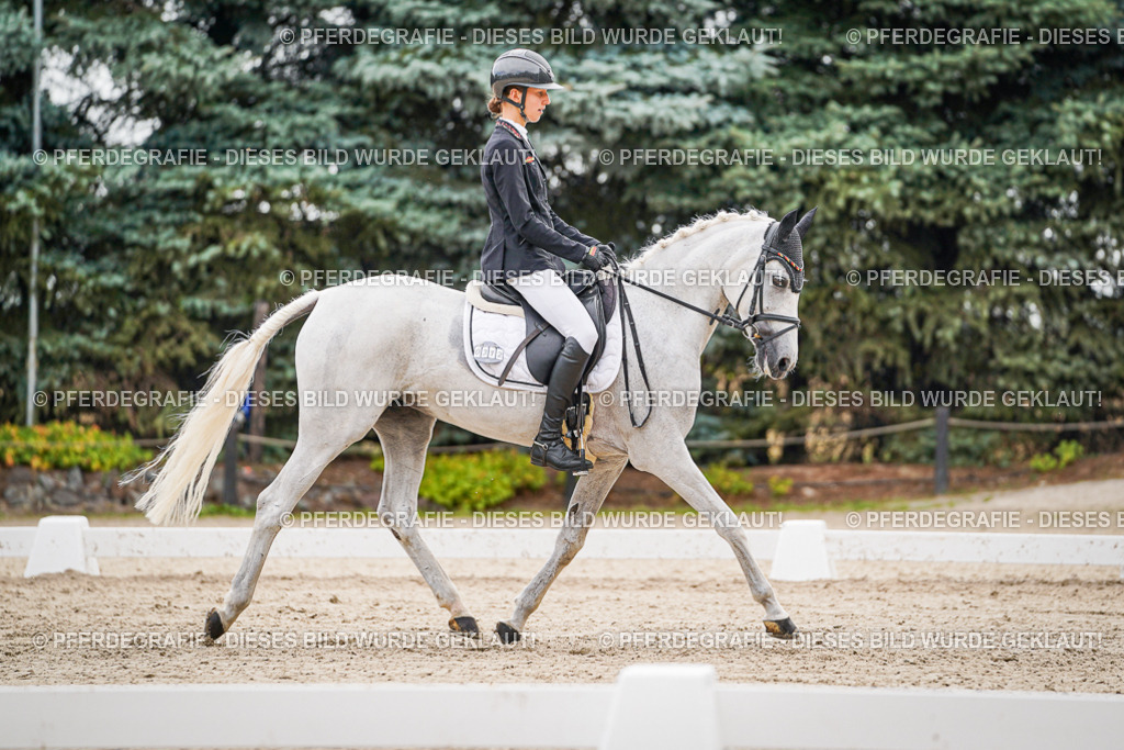 DSC02105 | Pferdegrafie