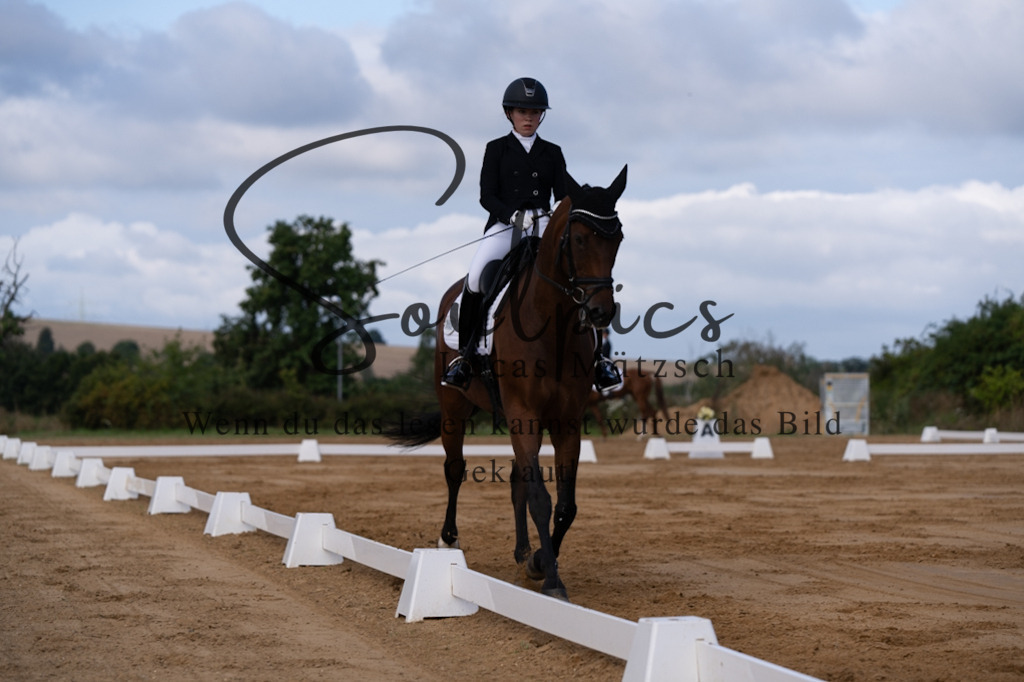 A7V05119 | Pferdefotograf