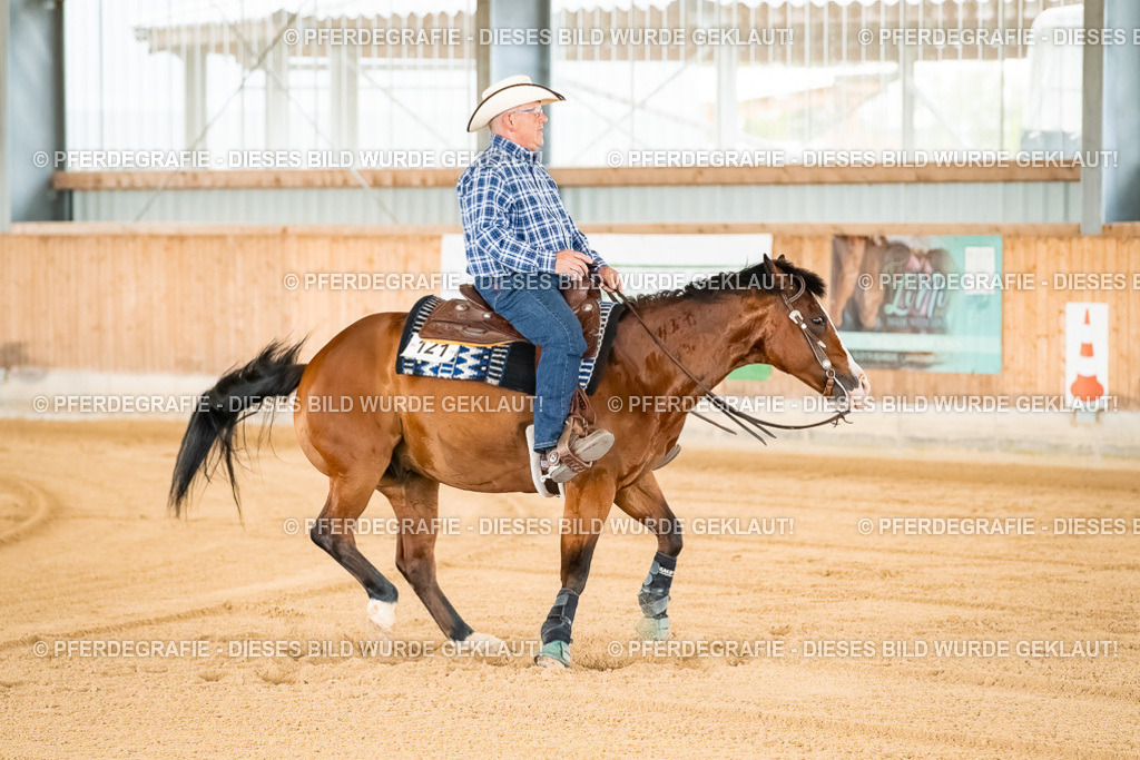 DSC01671 | Pferdegrafie