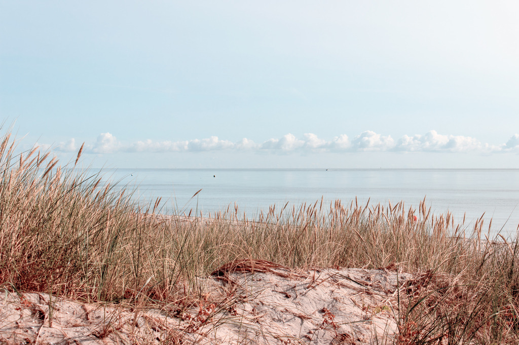 Wandbild: Düne und Strandhafer am Meer | Dieses Wandbild im Querformat zeigt Strandhafer am Meer. Im Vordergrund steht Strandhafer, es hat einen hellen Beigeton. Das Meer sowie der Himmel sind pastellartig blau. Durch die dezenten Farben wirkt das Wandbild elegant und stilvoll. Holen Sie sich mit diesem dekorativen Wandbild den Strandurlaub für das ganze Jahr nach Hause oder an den Arbeitsplatz. Es ist auf Leinwand, auf Aluminium-Platte, Acrylglas oder als Holzdruck erhältlich. Dabei wird es individuell für Sie in vielen Abmessungen produziert. Auf diese Weise passen die Ostseekult Wandbilder immer perfekt an Ihre Wände. - Realisiert mit Pictrs.com
