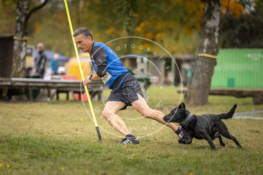 Pfotenfotografie_DV3A6153 | Hundefotografie, Tierfotograf, Pfotenfotografie, Fotoshooting Hund, Hunde Portrait, Hundesport, Hundeportraits, Heideshooting, Hunde, Sportfotograf, Hundefotograf, Turnierhundsport, THS,  - Realisiert mit Pictrs.com