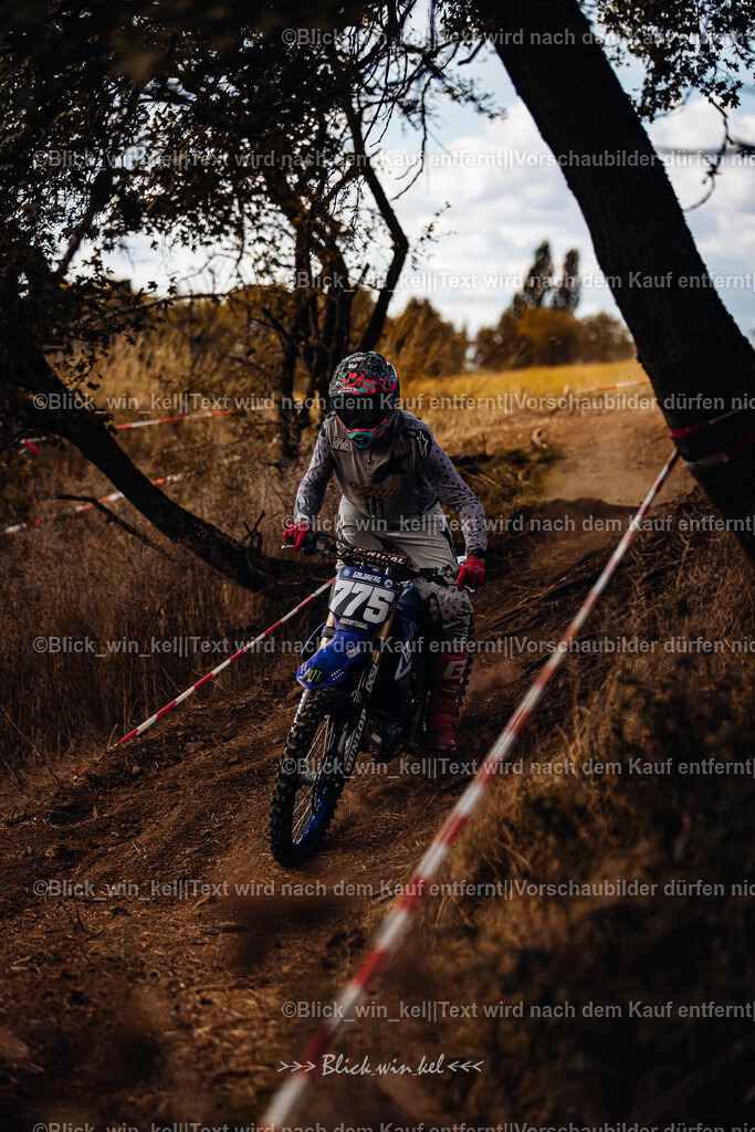 E68A3047 | blick_win_kel