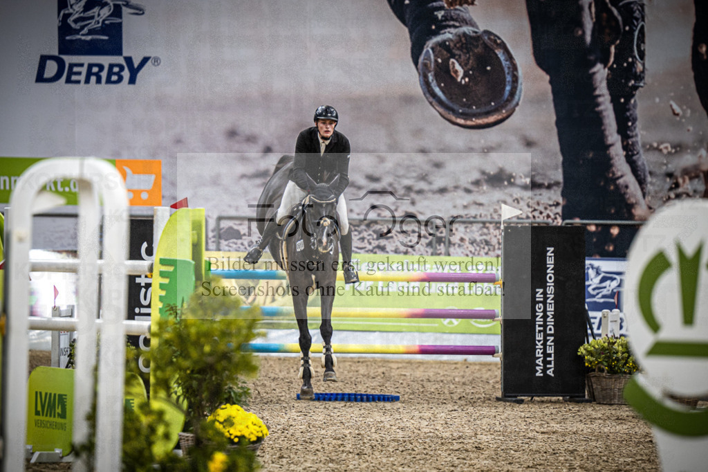 DOS_0027 | Entdecke hochwertige Reitturnierfotos von Foto Oger. Professionell, emotional und authentisch – jetzt Lieblingsmomente im Shop bestellen.Deutschlandweite Turnierfotografie. - Realisiert mit Pictrs.com