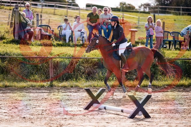 2026_10_03_Siefer-Hof_145735_Z81_39556032 | Professionelle Reitsport-, Turnier- und Eventfotografie von Robert Broda. Galerien mit ausgewählten und bearbeiteten Bildern direkt online ansehen und bestellen.