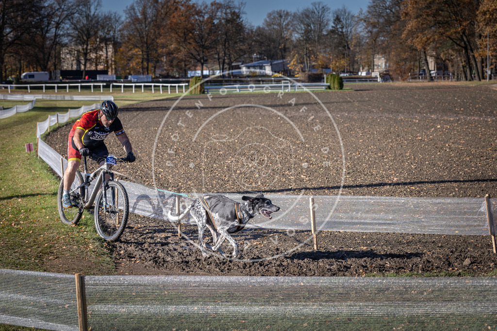 CaniXpix_DV3A6212 | Hundefotografie, Tierfotograf, Pfotenfotografie, Fotoshooting Hund, Hunde Portrait, Hundesport, Hundeportraits, Heideshooting, Hunde, Sportfotograf, Hundefotograf, Turnierhundsport, THS,  - Realisiert mit Pictrs.com