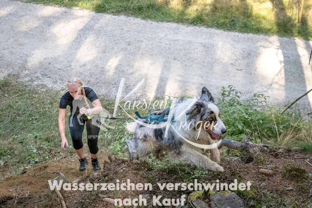 1053_ZZ93493 | kk-dogfotos