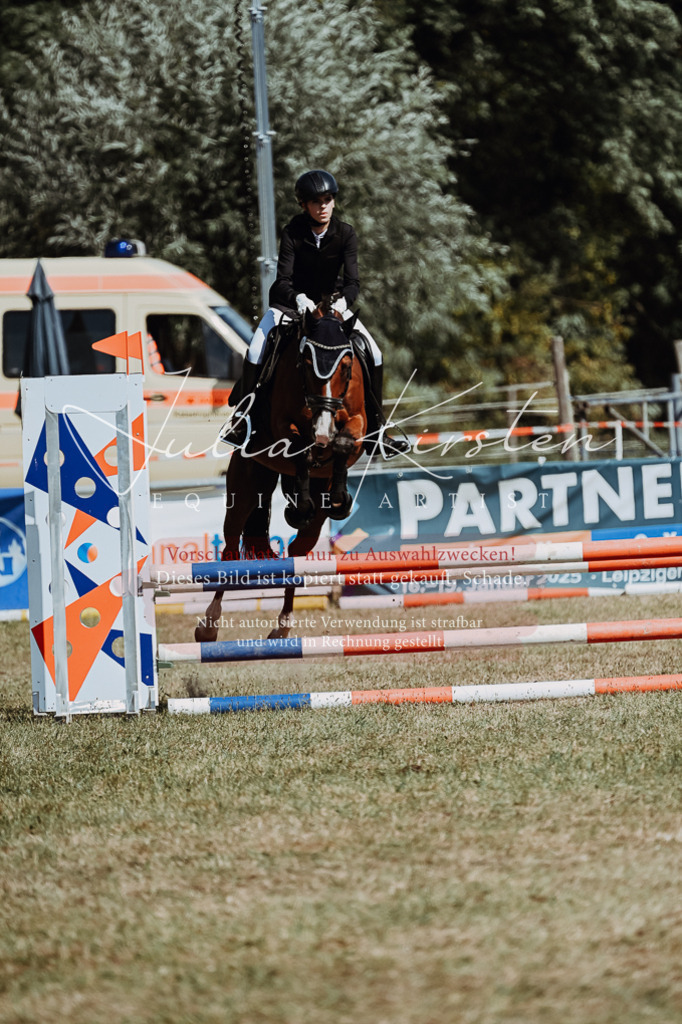 DSC_9773 | Pferde- und Turnierfotografie in Westsachsen. Pferdeportraits, Auftragszeichnungen und intuitive Kunst.