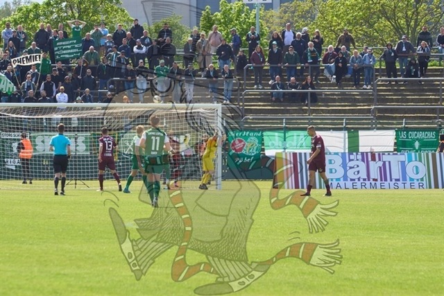 BFC Dynamo vs. BSG Chemie Leipzig  092 | mythos-online-redaktion