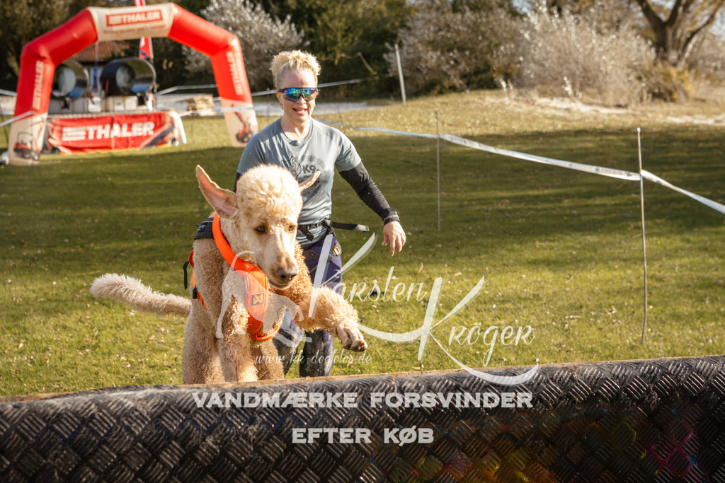 1501_ZZ95731 | kk-dogfotos