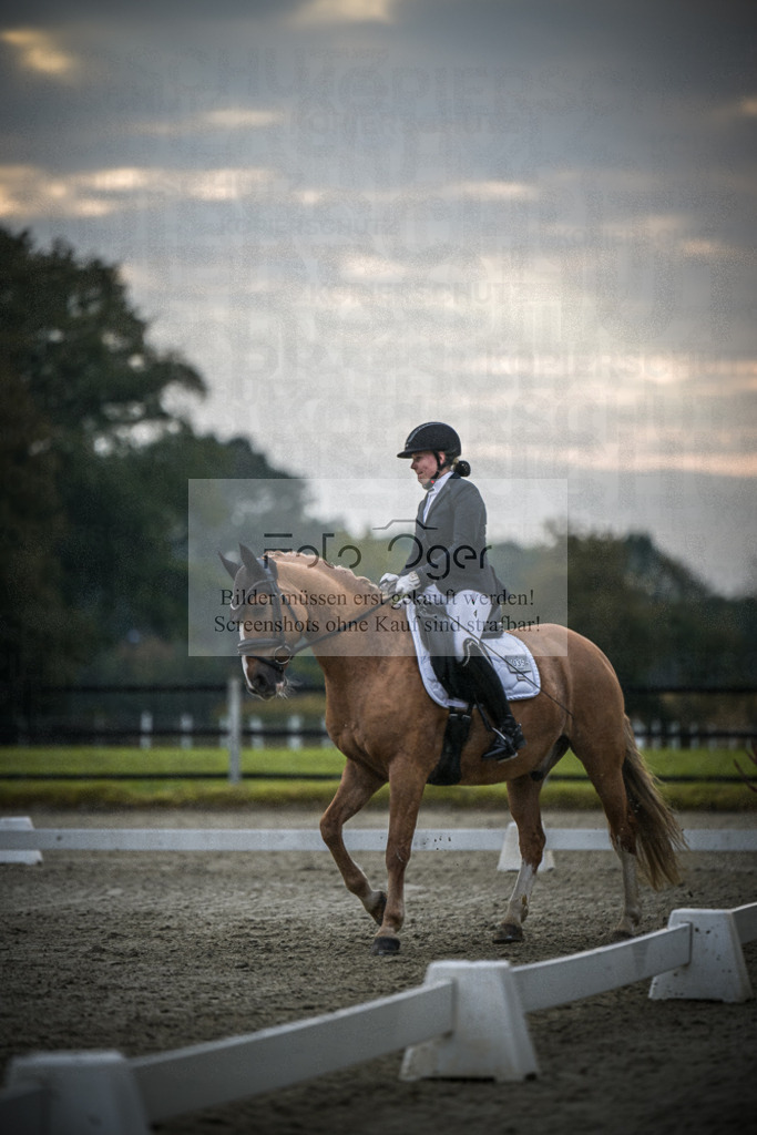 DOS_2129 | Entdecke hochwertige Reitturnierfotos von Foto Oger. Professionell, emotional und authentisch – jetzt Lieblingsmomente im Shop bestellen.Deutschlandweite Turnierfotografie. - Realisiert mit Pictrs.com