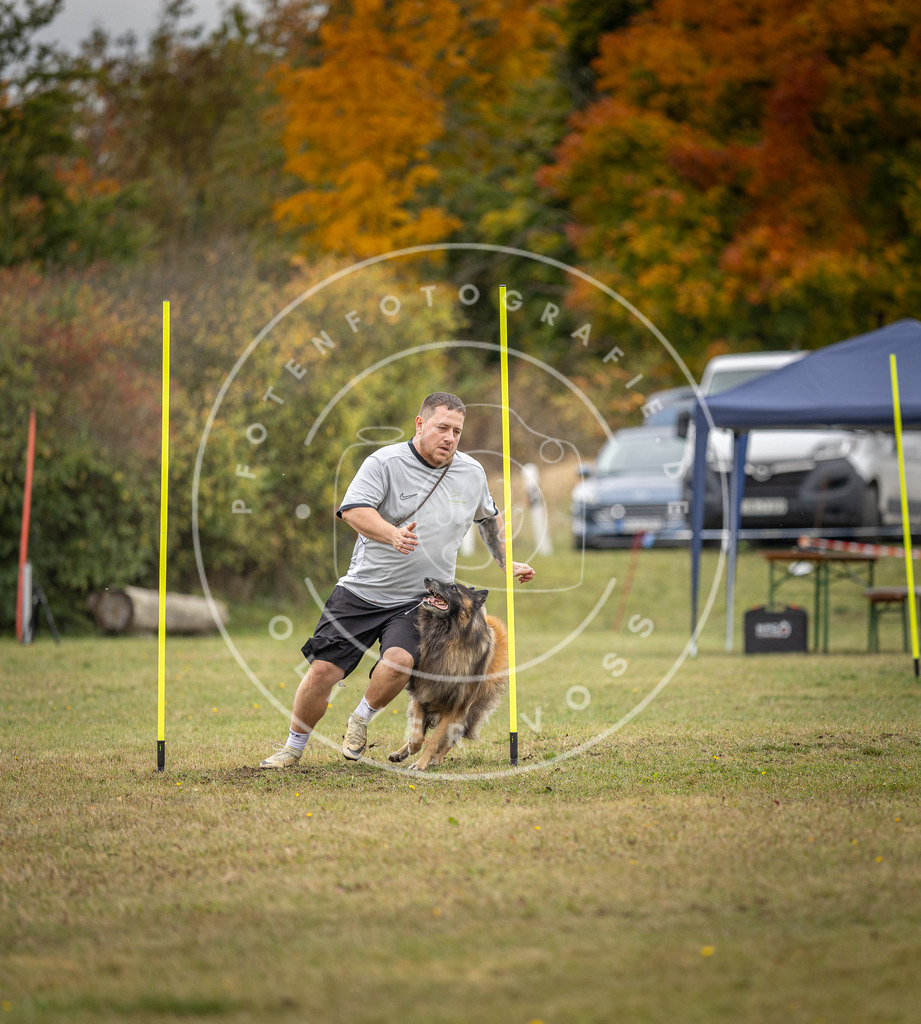 Pfotenfotografie_DV3A8319 | Hundefotografie, Tierfotograf, Pfotenfotografie, Fotoshooting Hund, Hunde Portrait, Hundesport, Hundeportraits, Heideshooting, Hunde, Sportfotograf, Hundefotograf, Turnierhundsport, THS,  - Realisiert mit Pictrs.com