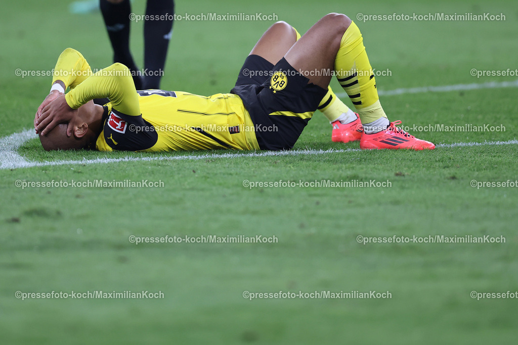 BVB13092402213 | 13.09.2024, 1. Fußball Bundesliga, Borussia Dortmund - 1. FC Heidenheim 1846, Signal Iduna Park, Saison 2024 2025: Donyell Malen (BVB #21)DFB regulations prohibit any use of photographs as image sequences and or quasi-video.