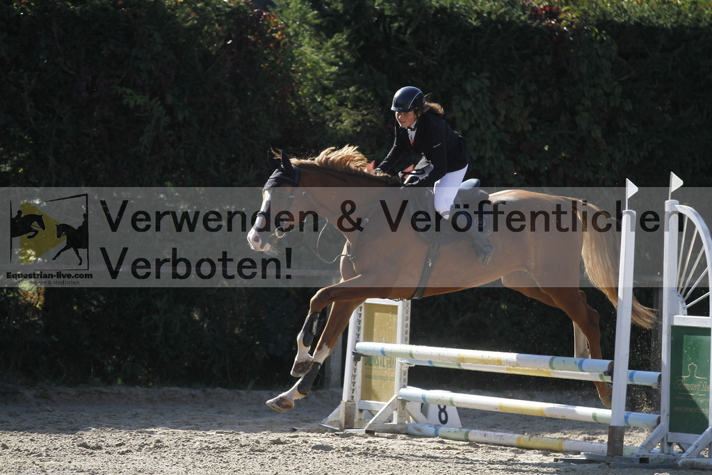 _MG_4161 | equestrian-live-com