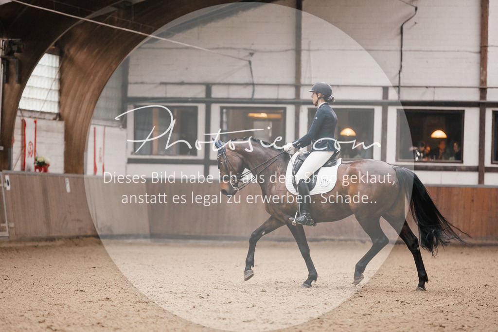 3I6A8766 | Stimmungsvolle Portraits und Reitsportfotografie im Ruhrgebiet und im Münsterland.

Pferdefotografie, Hundefotografie, Tierfotografie, Reportagen, Portraits von Tier und Mensch, Turnierfotografie in Bochum, Recklinghausen, Marl, Haltern am See, Dülmen.. - Realisiert mit Pictrs.com