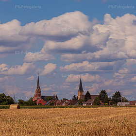 Erntezeit mit Blick auf Friedrichsfeld