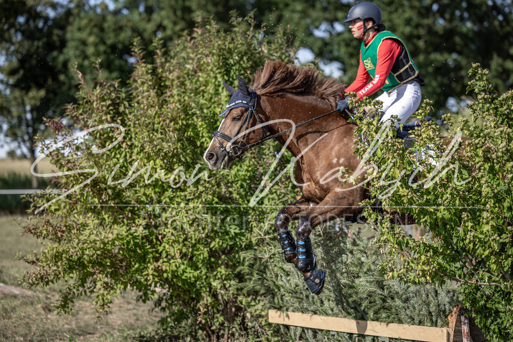 20250907-_3LI3200 | Tierfotografie Pferde, Hunde, Katzen, Haustiere.
Turnierfotografie Reitturniere, Reiten, Springreiten, Dressur in Hanau, dem Main-Kinzig-Kreis und dem Rhein-Main- Gebiet um Frankfurt