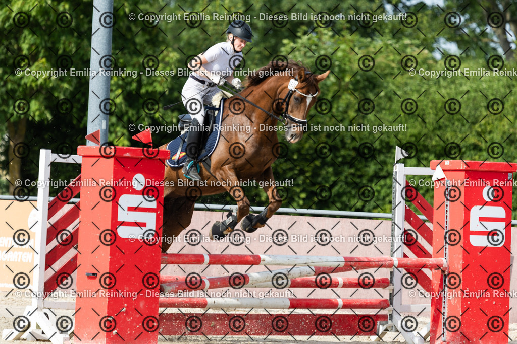 CL5A4527 | Emilia Reinking Fotografie - Realisiert mit Pictrs.com