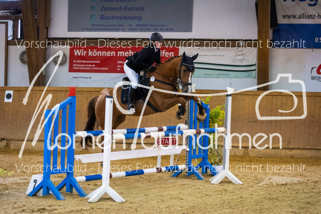 Sth-A-Spr.m.st.A.-021 | MomenTaufnahmen Pferdesportfotos