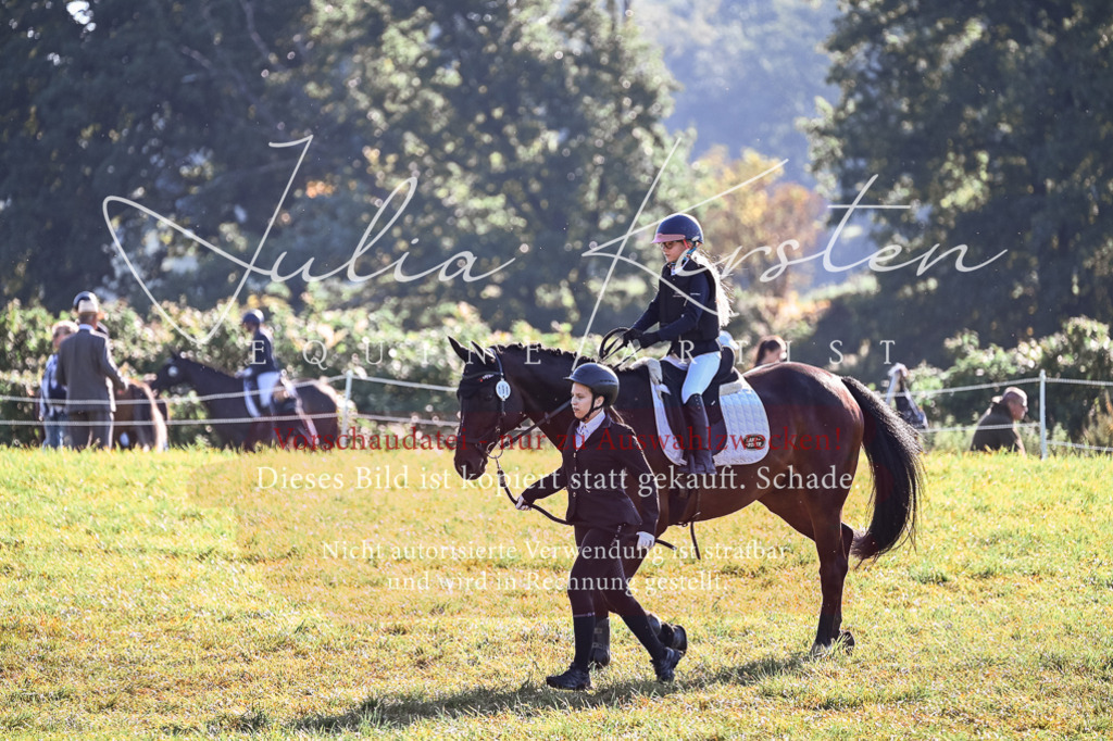 DSC_0245 | Pferde- und Turnierfotografie in Westsachsen. Pferdeportraits, Auftragszeichnungen und intuitive Kunst.