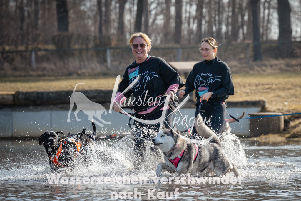1103_ZZ91858 | kk-dogfotos