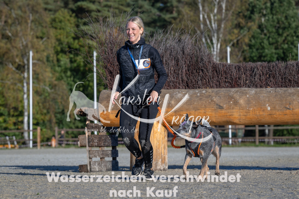 1033-_ZZ91642 | kk-dogfotos