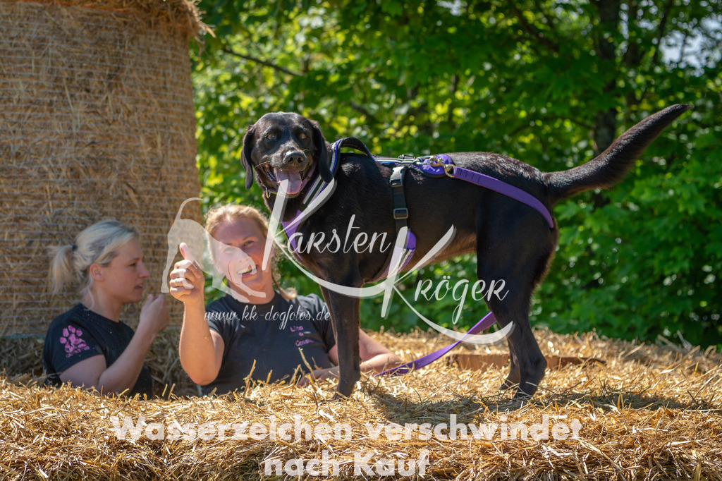 1055STR_6061 | kk-dogfotos