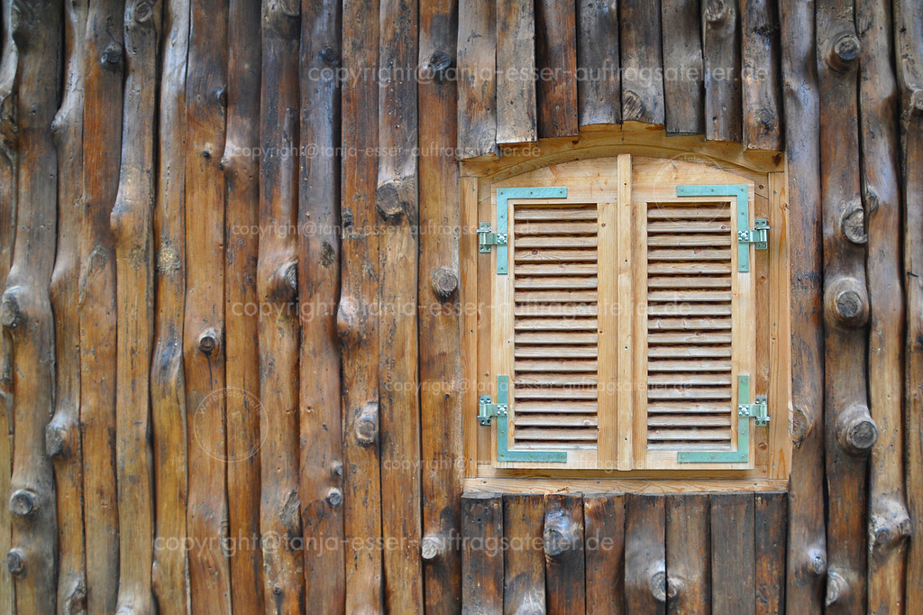 Holzfenster | Geheimnisvolles Fenster. An Baumstämmen ist ein Fenster eingelassen. Die Fensterläden sind verschlossen.