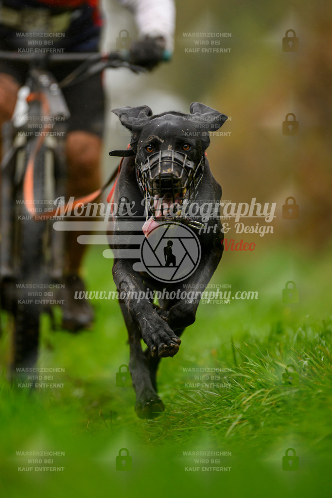 MompixPhotography_20TSB_E8_Bike-66 | PayLife