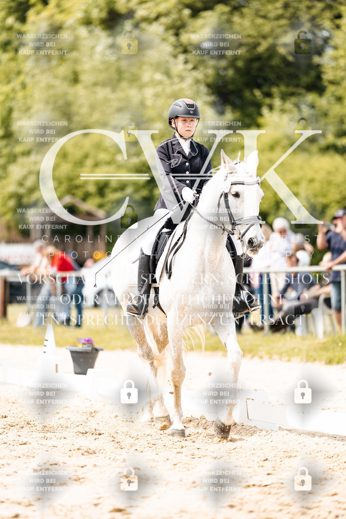 CK902609 | Turnierfotografie Pferdefotografie Trier Rheinland-Pfalz Pferdesport Reitsport Tierfotografie Sportfotografie Pferdevideo Pferdevideografie Equestrianvideography equestrianphotography  - Realisiert mit Pictrs.com