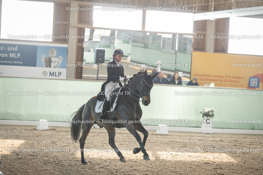 _D5A7734 | Emotionale Pferde- & People-Fotografie rund um Heidelberg, Leimen & Umgebung. Natürliche Fotos von Pferd, Mensch & Familie. Jetzt Termin sichern!