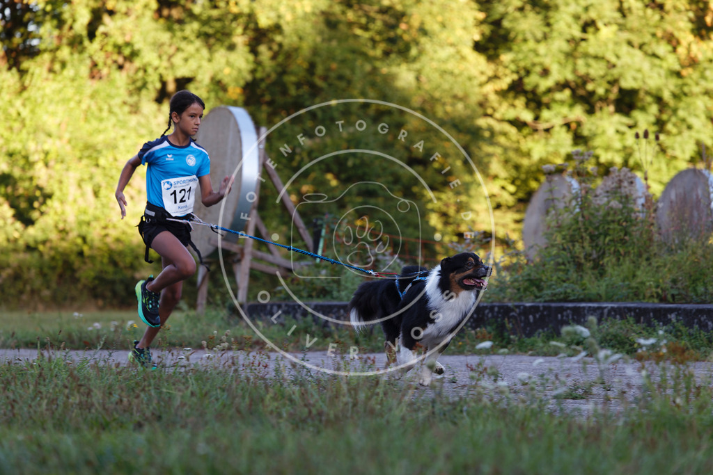 0L8A4356 | Hundefotografie, Tierfotograf, Pfotenfotografie, Fotoshooting Hund, Hunde Portrait, Hundesport, Hundeportraits, Heideshooting, Hunde, Sportfotograf, Hundefotograf, Turnierhundsport, THS,  - Realisiert mit Pictrs.com