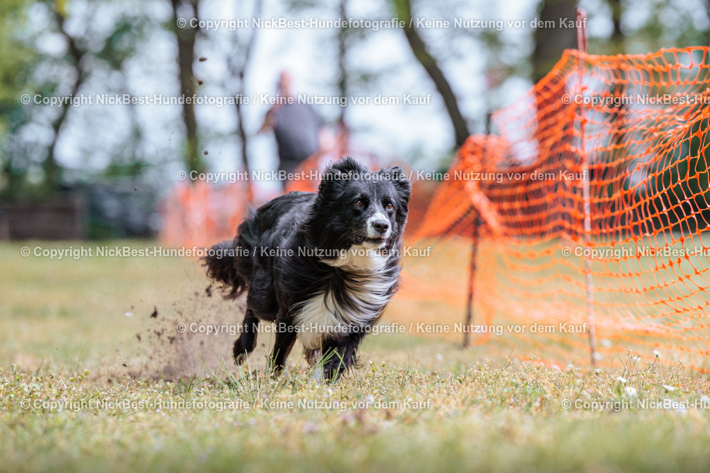 Sage Hunderennen Frühlingsfest-2026-Nickbest-Hundefotografie-0310 | Dein Hund! Dein Moment! Deine Erinnerungen! Hundefotografie in Bremen Blumenthal. Ich fange die besonderen Momente deines Vierbeiners ein – ob Indoor mit Blitzanlage oder in der freien Natur. Sicher dir dein Moment und dein Termin für eure Erinnerungen.