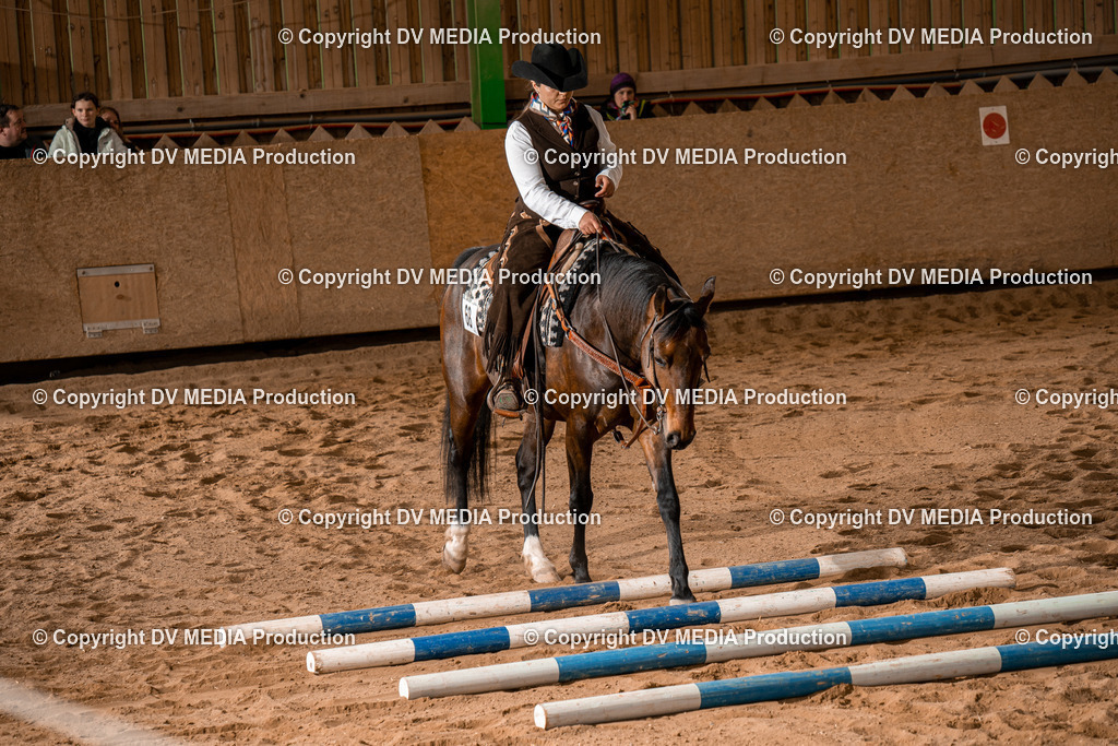 BA400801 | dv-media-shop - Realisiert mit Pictrs.com