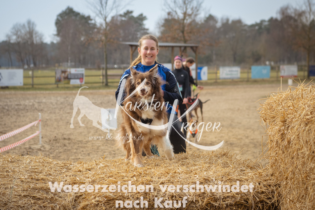 1042_ZZ98285 | kk-dogfotos