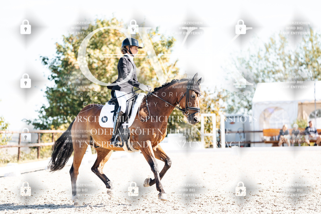 CK909253 | Turnierfotografie Pferdefotografie Trier Rheinland-Pfalz Pferdesport Reitsport Tierfotografie Sportfotografie Pferdevideo Pferdevideografie Equestrianvideography equestrianphotography  - Realisiert mit Pictrs.com