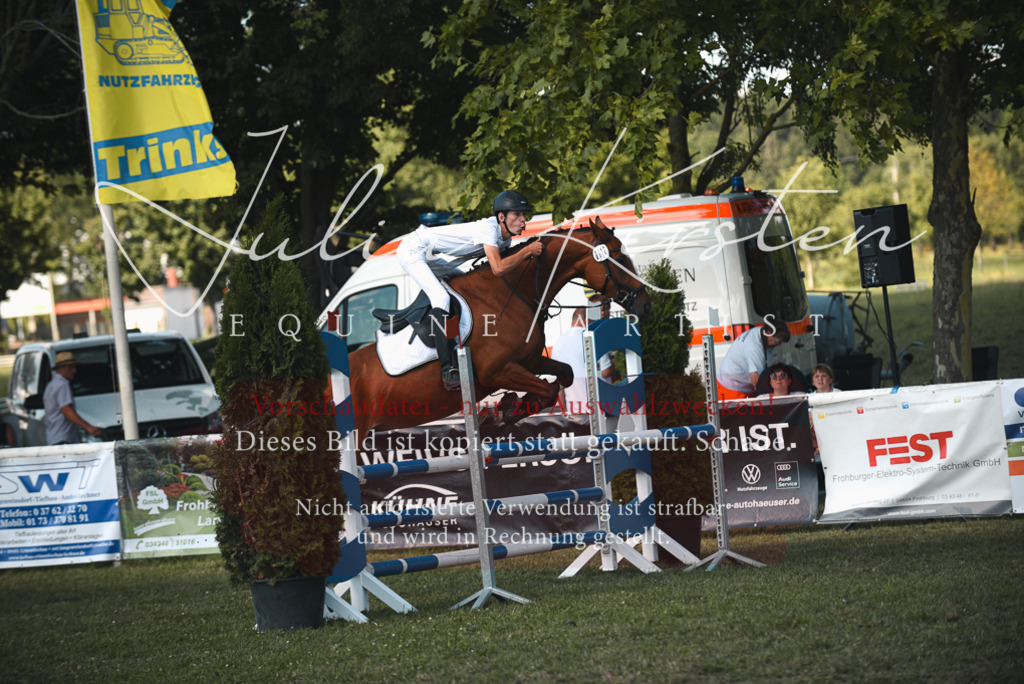 DSC_6905 | Pferde- und Turnierfotografie in Westsachsen. Pferdeportraits, Auftragszeichnungen und intuitive Kunst.