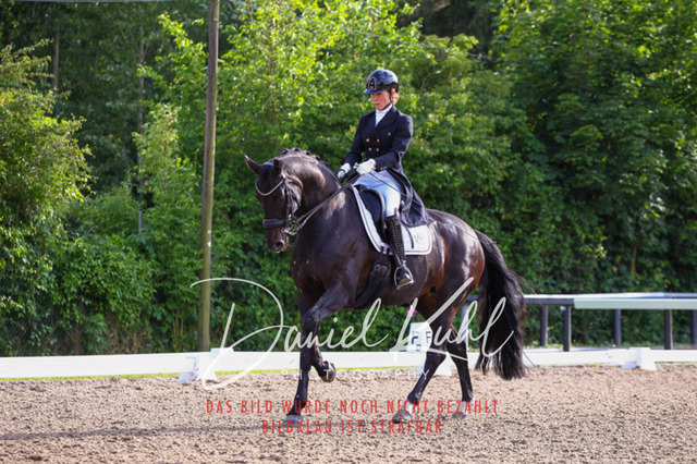 DKP41721 | Deine Turnierfotos vom Reitturnier online kaufen: Dressur, Springen & Siegerehrung. Professionelle Pferdefotografie aus dem Rheinland – als Download & Print.Alternative: Turnierfotograf für den Pferdesport: Finde deine Fotos von Dressur- und Springturnier