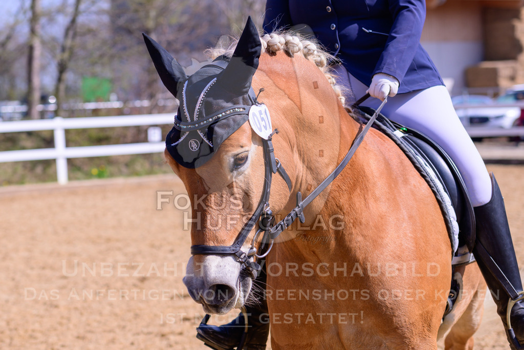 11042026-Mammendorf-Prfg30-0676 | Fokus Hufschlag Fotografie - Realisiert mit Pictrs.com