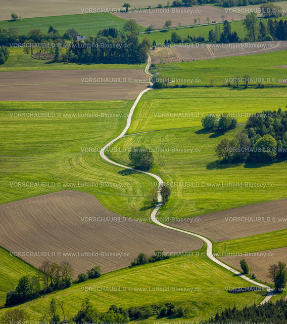 Meschede240505944 | Luftbild, schlangenförmige Straße zwischen Wiesen und Felder nahe dem Ort Löttmaringhausen, Bäume am Wegesrand, Formen und Farben, Berghausen, Meschede, Sauerland, Nordrhein-Westfalen, Deutschland