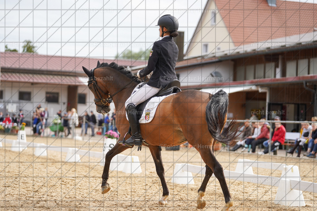 20240825-FAH00324 | Turnierbilder, Reitsportfotos, LAPO, Landesponyturnier, Turnierfotografen Bayern