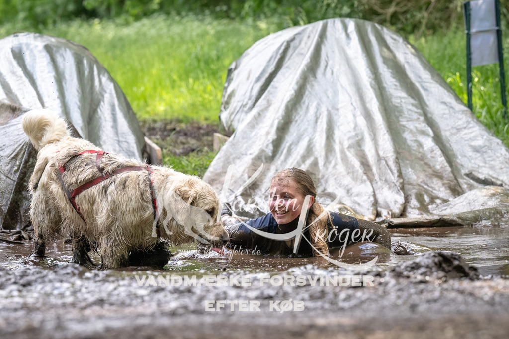 1319_ZZ90816 | kk-dogfotos
