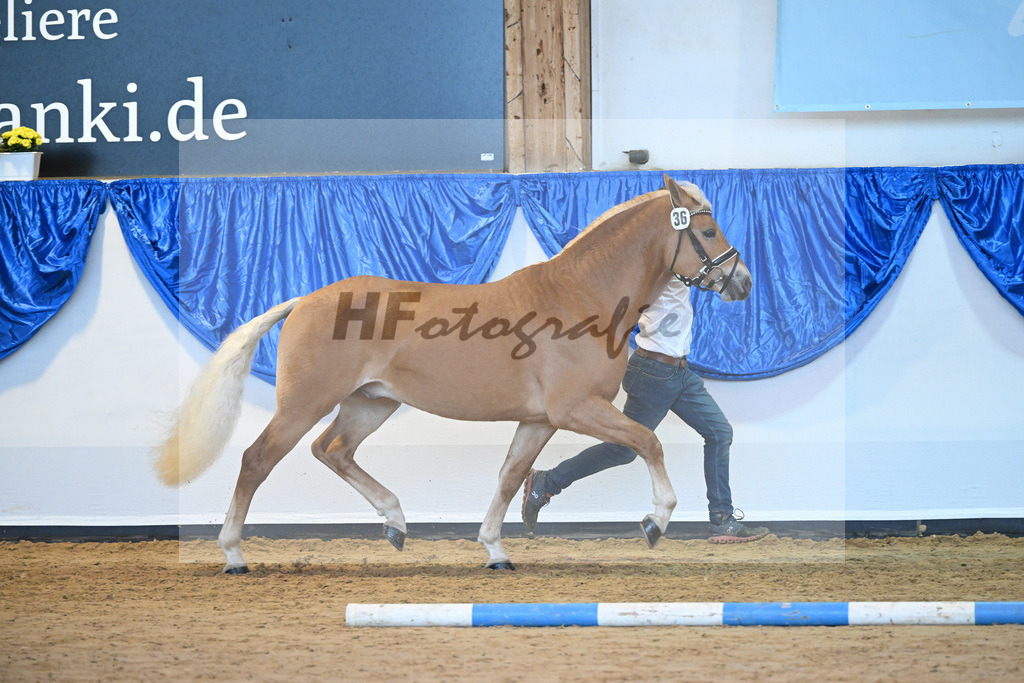 Kat-Nr. 36 nn v. Ansgar_Port_60220910 | hf-fotografie - Realisiert mit Pictrs.com