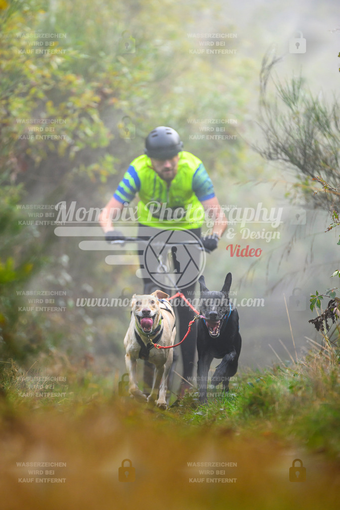 MompixPhotography_20TSB_E4_DS2-20 | PayLife