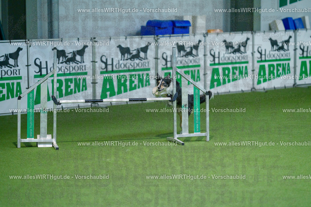 @allesWIRTHgut_Tierfotografie - www.allesWIRTHgut.de - 2604250937-7R508625 | Professionelle Tierfotografie in Mönchengladbach von Daniel Wirth (allesWIRTHgut). Liebevolle & natürliche Bilder von Hunden & Katzen für unvergessliche Erinnerungen.